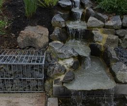 Stark im Garten