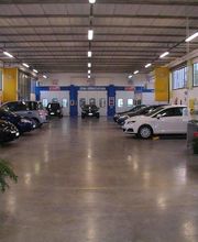 Gallery Cliente