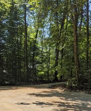 Blick vom Parkplatz auf den Eingang zum FriedWald.