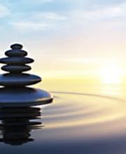 Naturheilpraxis Millefolium Bild 1