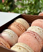 Marc Verdant image 2