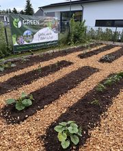 Unterstützung ev. Kindergarten Vöhringen - Gemüseacker.jpeg