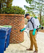 Evergreen Pest Solutions image 8