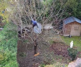 Sur Un Arbre Perché E.I.R.L image 11