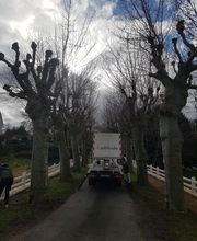 Reinard Jimmy image 13