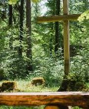 FriedWald Hegau Bild 1