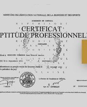 Vigneron Couverture image 4