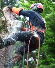 Gestin Environnement image 1