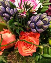 Blumen Interfleur Floristik & Wohnaccessoires Bild 13