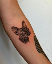 Nil Fineline imagen 4