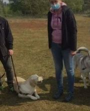 Amis Fidèles image 1