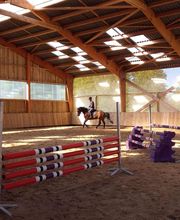 Haras De l'Epine Noire image 7