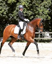 Les Écuries de Coatélan image 3