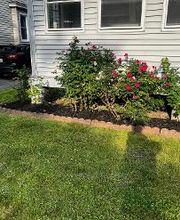 Clearly Blue Cleaning LLC image 5