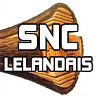 Scierie Lelandais Frères Snc lelandais