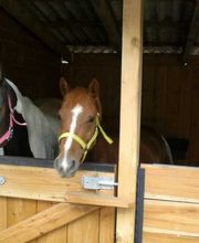 Ferienhof Bruns Bild 30