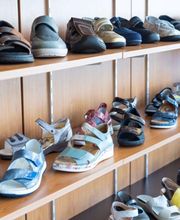 A L P H A Medical image 1