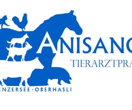 Anisano Tierarztpraxis Bild 1