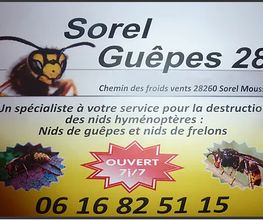 Sorel Guêpes 28 image 2