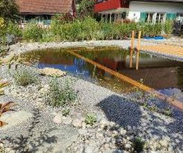 M. Hartmann Gartenbau AG Bild 3
