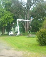 Chicois Pascal image 4