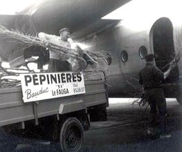 Pepinieres Bauduc image 14