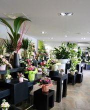 Fleurs Ô Naturel image 4