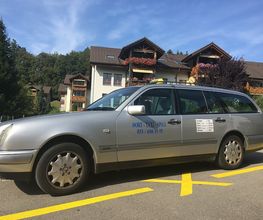 Dorf-Taxi Spiez Bild 1
