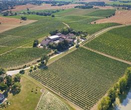 Domaine D'Embidoure image 4