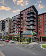 Mendocino Farms image 7