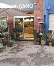 Floria Blumen Bild 17