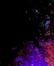 SEB Light Lichttechnik Bild 2