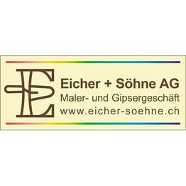 Eicher + Söhne AG