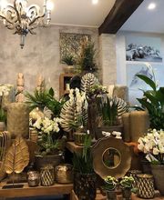 Blumenhaus Knagge Bild 4