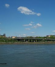 Katholische Gesamtkirchengemeinde Mannheim Bild 8