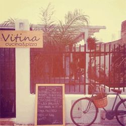 Vitina logo