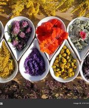 Herb4Us & Acupuncture image 6