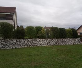 Mémoires d’Arbres Bild 11