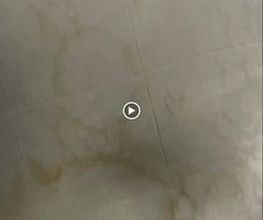 Reinigung ProServices Bild 7