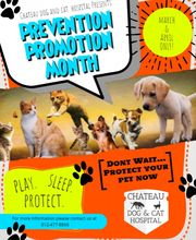 Chateau Dog & Cat Hospital image 14