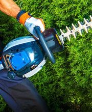 Mont D'Or Paysage image 1