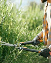 Roland Maußner Bild 7