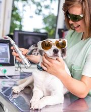 Tierarztpraxis Rühling