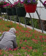 Girard-Vitré image 2