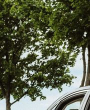 DISTREX Limousinenservice Bild 8