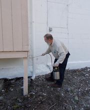 Plunkett's Pest Control image 5