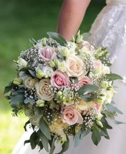 Blumen Ball GmbH Bild 2