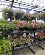 Garden Center Wide Shot