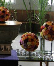 Götschi Hanspeter Bild 6