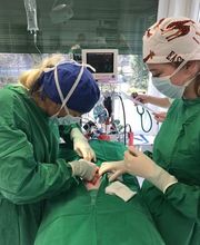 Kleintierklinik am See Bild 8